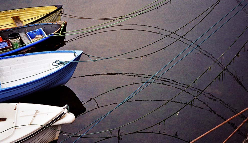 Boats moored in the Old Harbour, Fishguard, Wales. The mooring ropes and their refections make repeating fish shapes - the fish is a Christian symbol