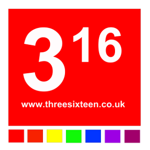 316 logo
